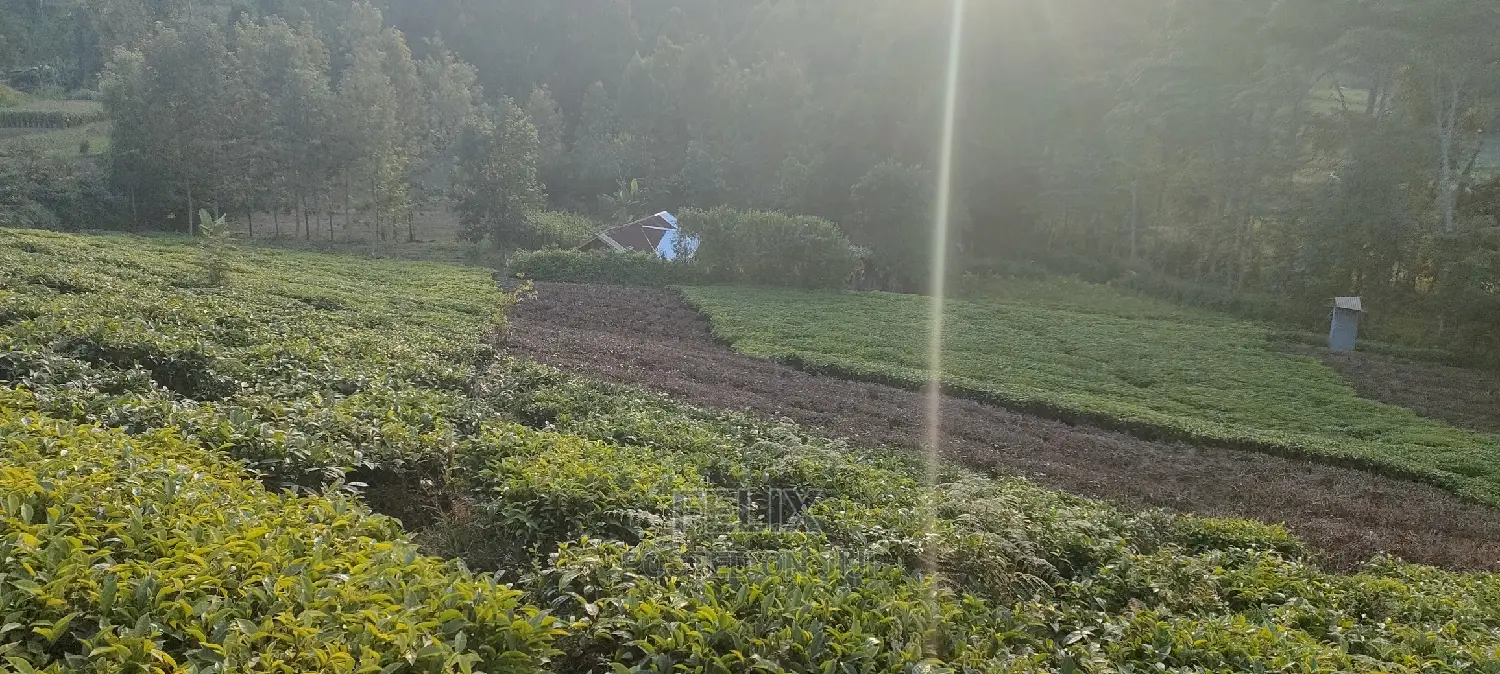 Karatina 1 Acre Gikumbo in Karatina Town