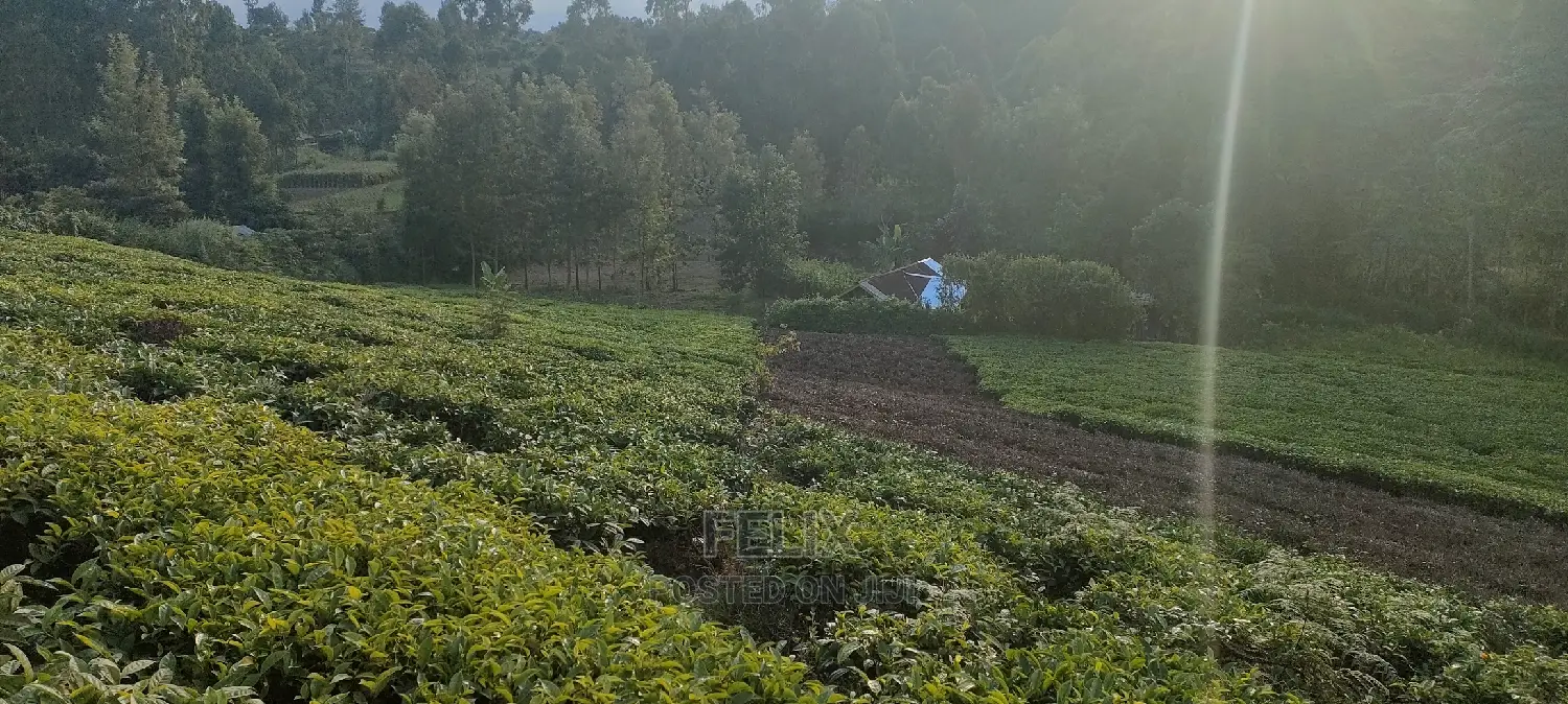 Karatina 1 Acre Gikumbo in Karatina Town