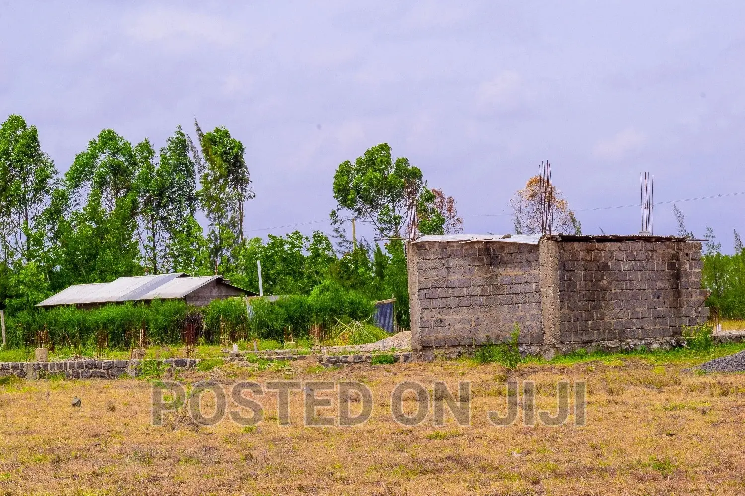 Plots for Sale in Juja Farm in Kalimoni