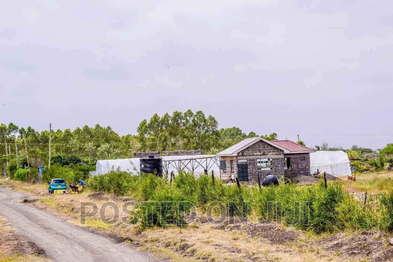 Plots for Sale in Juja Farm in Kalimoni