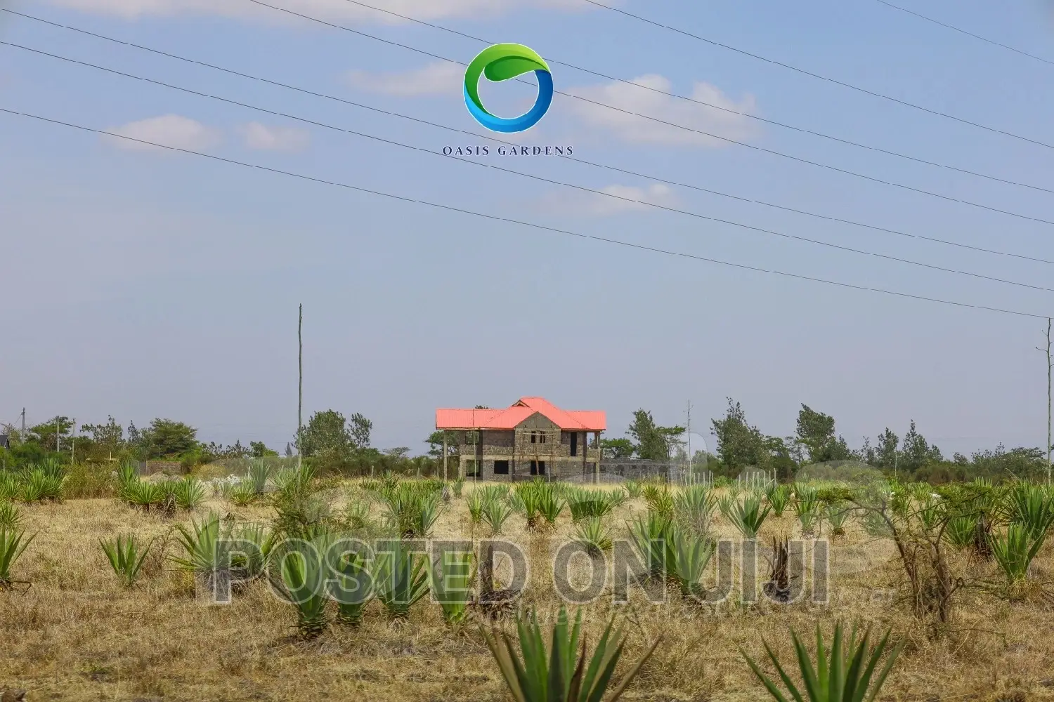 Plots Along Juja Farm Road in Kalimoni