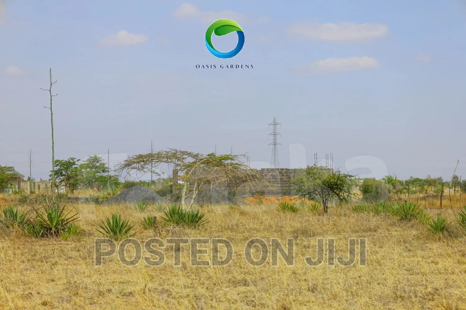 Plots Along Juja Farm Road in Kalimoni
