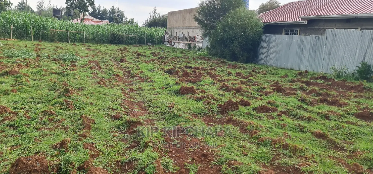 Big 1⁄4 Plot for Sale in Racecours Achievers School Eldoret in Racecourse