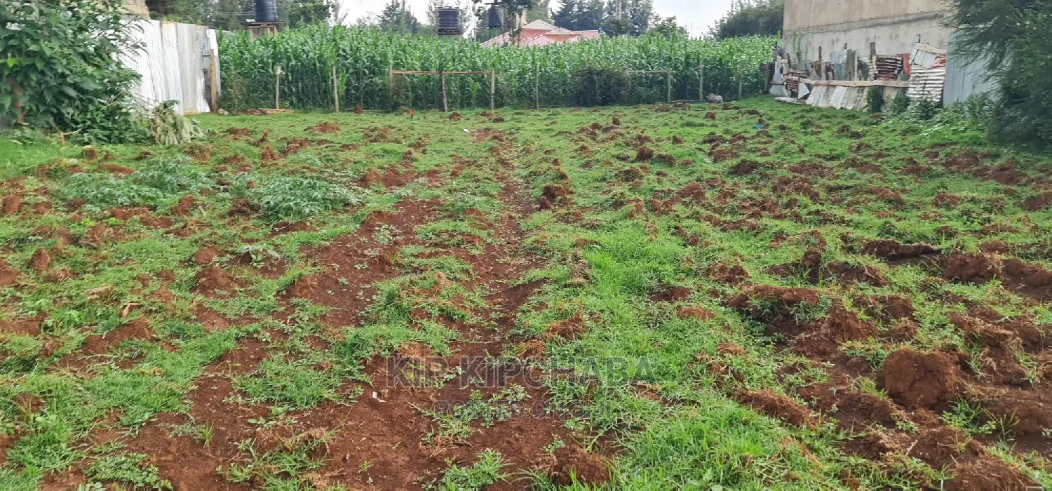 Big 1⁄4 Plot for Sale in Racecours Achievers School Eldoret in Racecourse