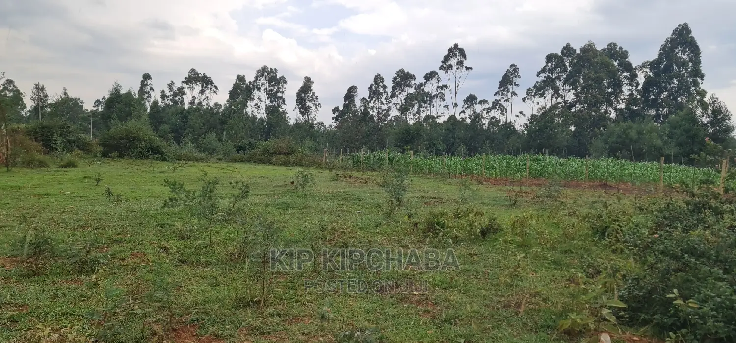 Rivertex Segero Plots for Sale: Ideal Location Before Kipkenyo Eldoret in Kipkenyo