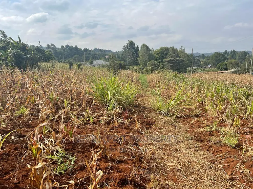Kamangu Karai Plot: Residential Land in Kikuyu, Migumoini Area in Karai