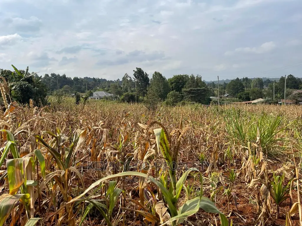 Kamangu Karai Plot: Residential Land in Kikuyu, Migumoini Area in Karai