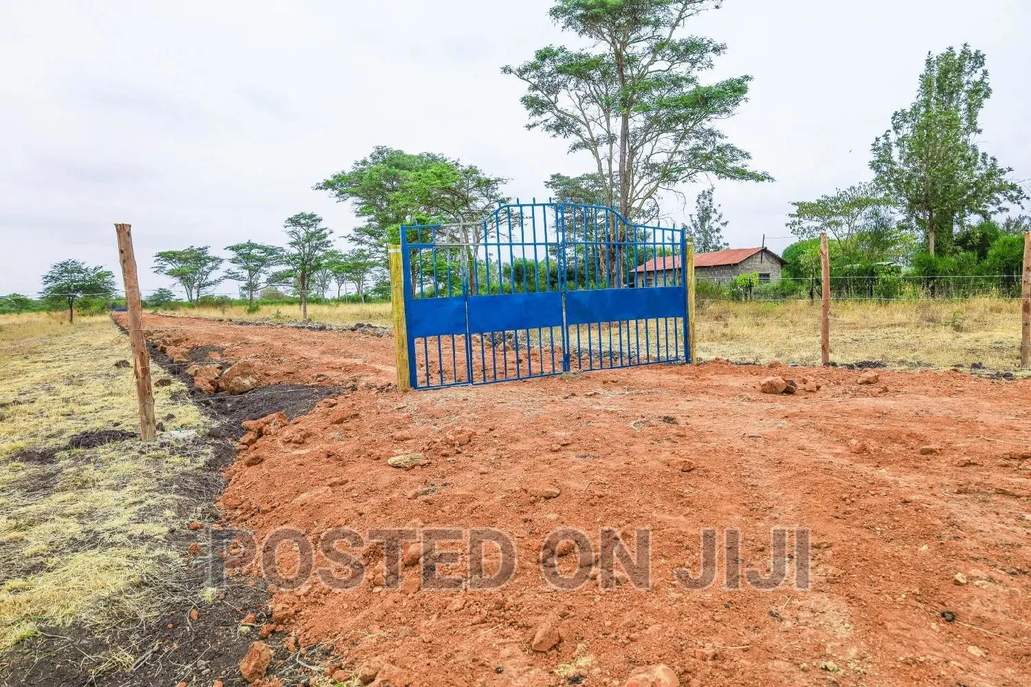 Juja Farm Plots for Sale- 300m From the Main Road in Kalimoni