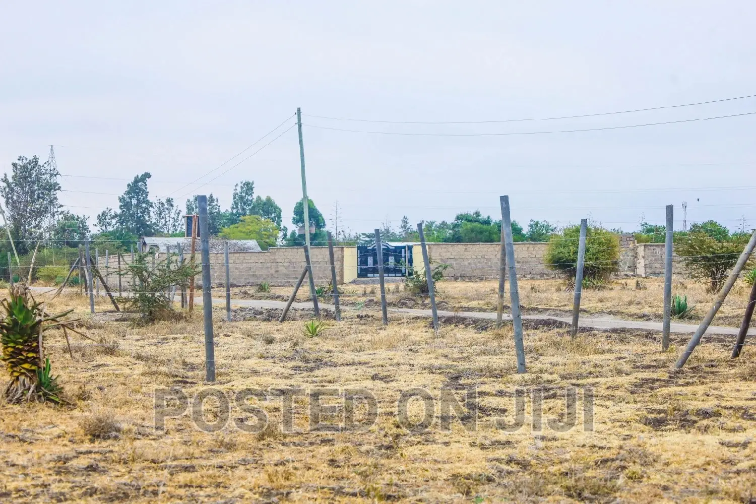 Deposit 100k and Start the Process of Owning This Plot in Kalimoni