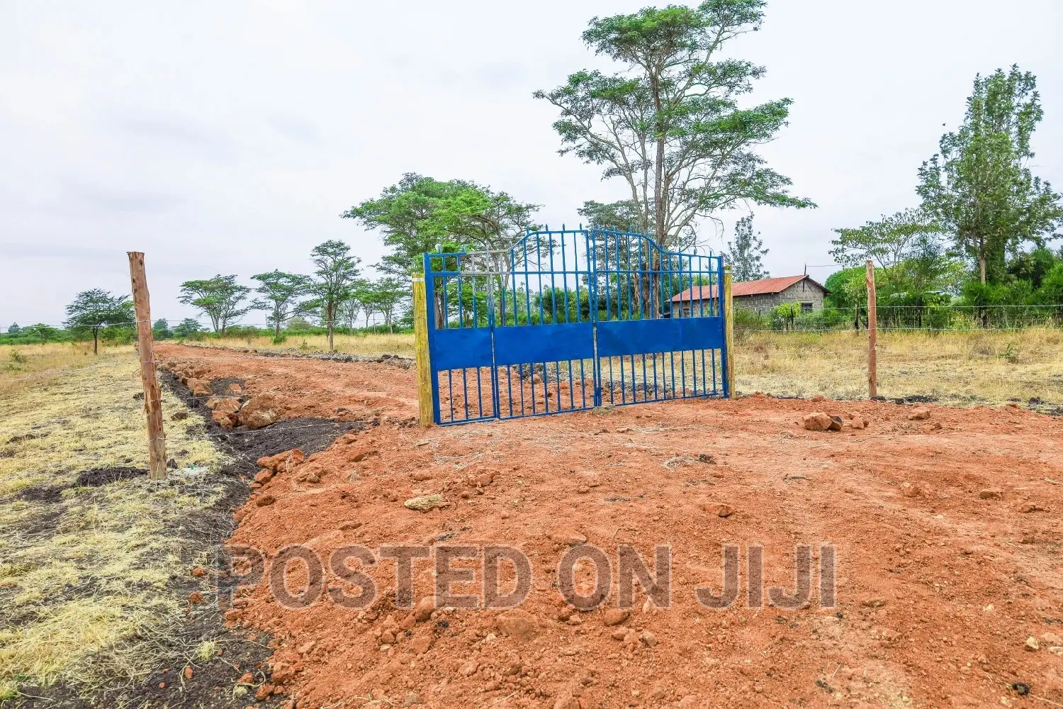 Deposit 100k and Start the Process of Owning This Plot in Kalimoni