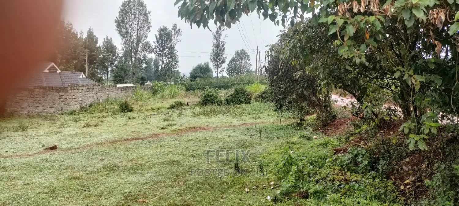 Karatina Rafina Prime Plot 50/100 in Karatina Town
