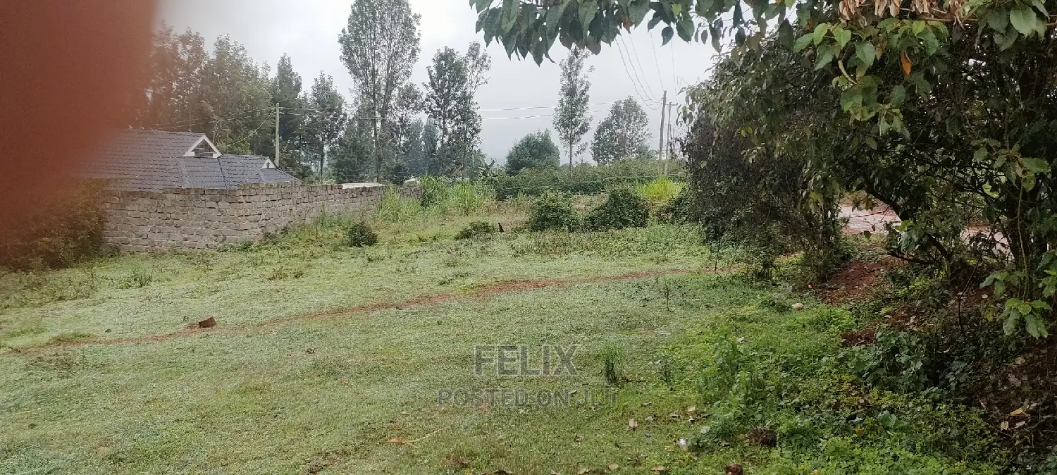 Karatina Rafina Prime Plot 50/100 in Karatina Town