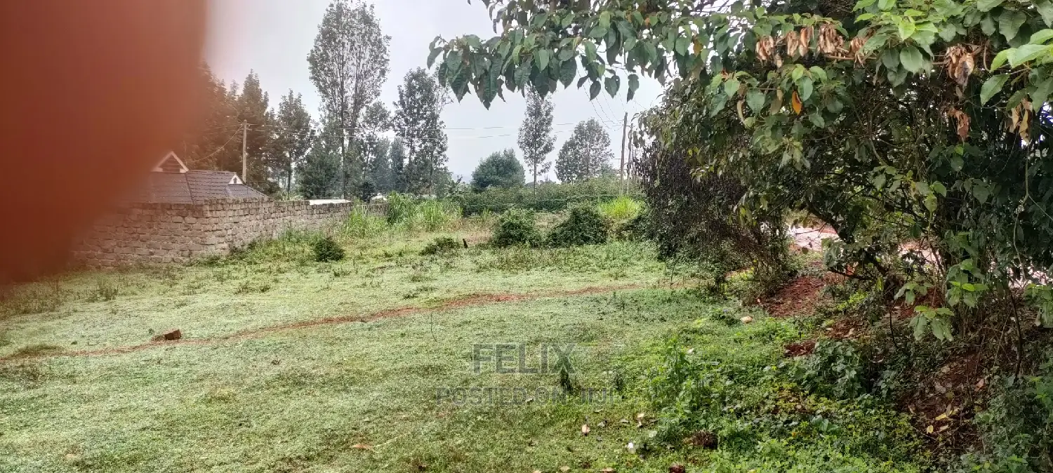 Karatina Rafina Prime Plot 50/100 in Karatina Town