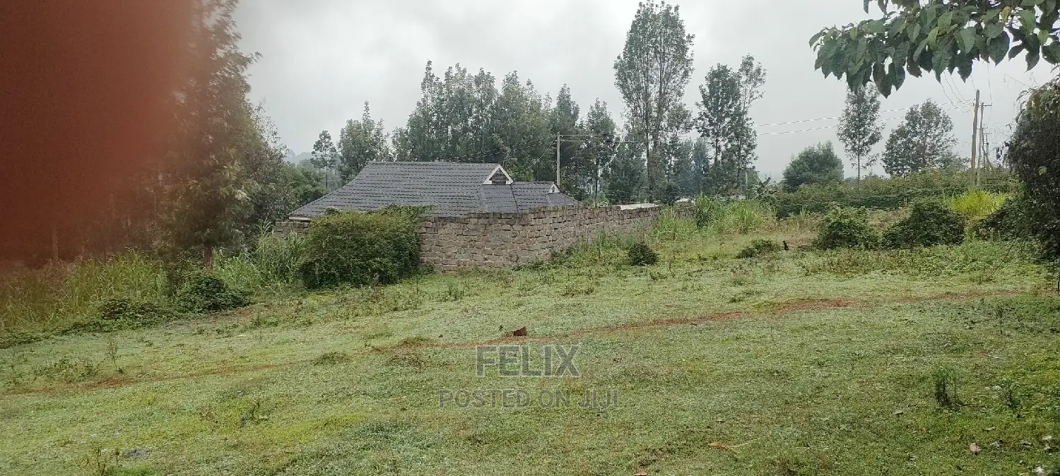 Karatina Rafina Prime Plot 50/100 in Karatina Town