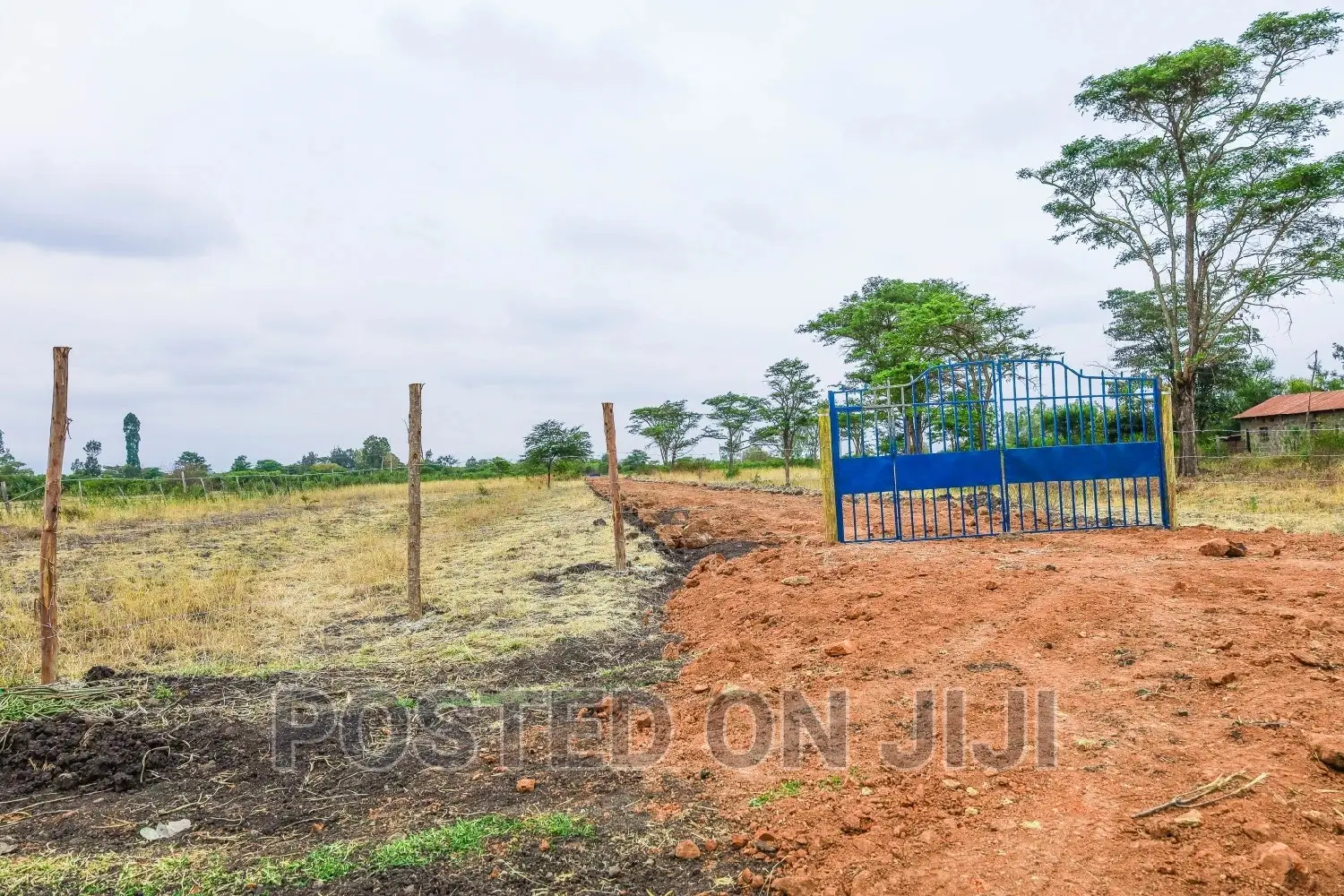 Juja Farm Plots for Sale- 300m From the Main Road in Kalimoni
