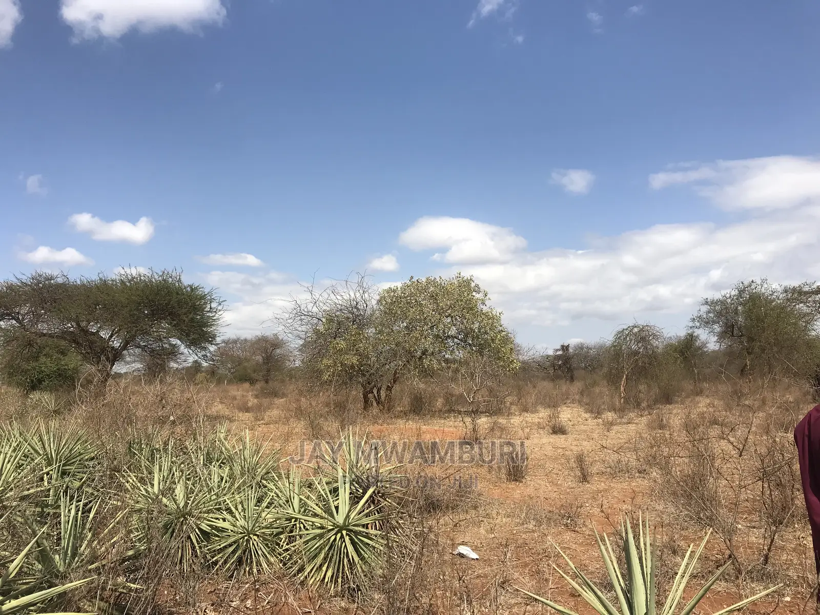 40 Acrea Touching Wote Tarmac Road Makindu in Makindu