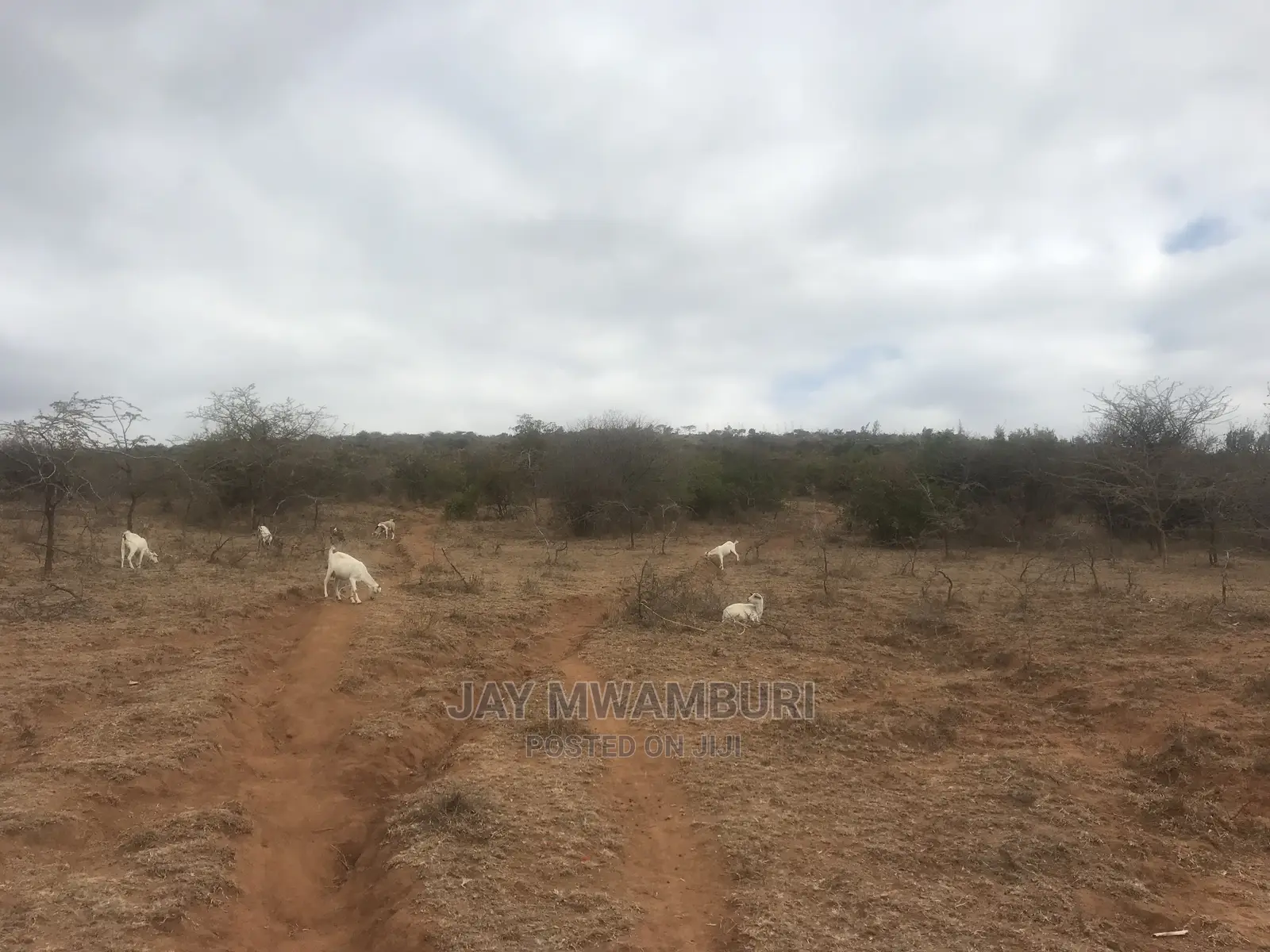 20 Acre Touching Kathome Tarmac Road Machakos in Junction