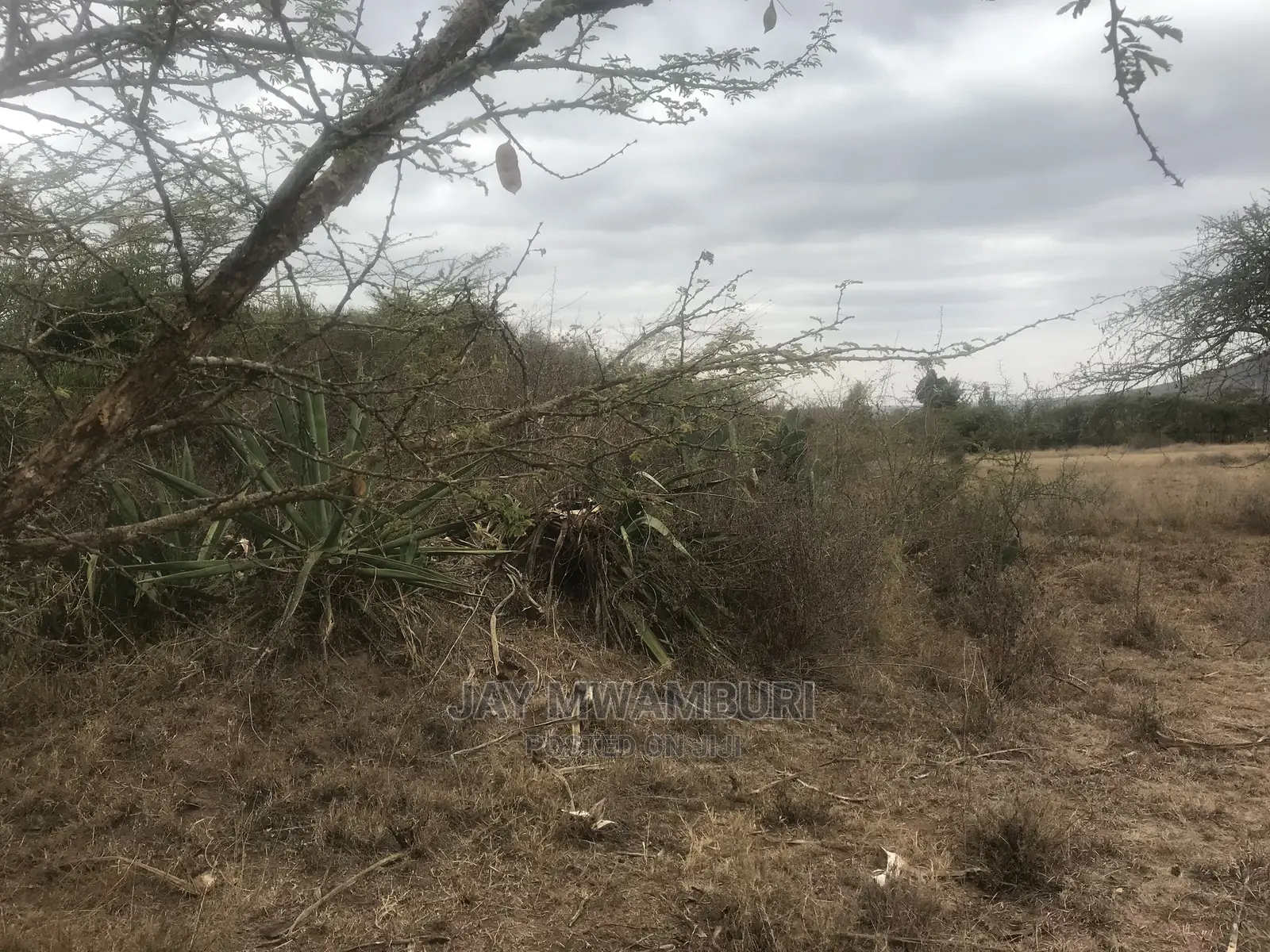 20 Acre Touching Kathome Tarmac Road Machakos in Junction
