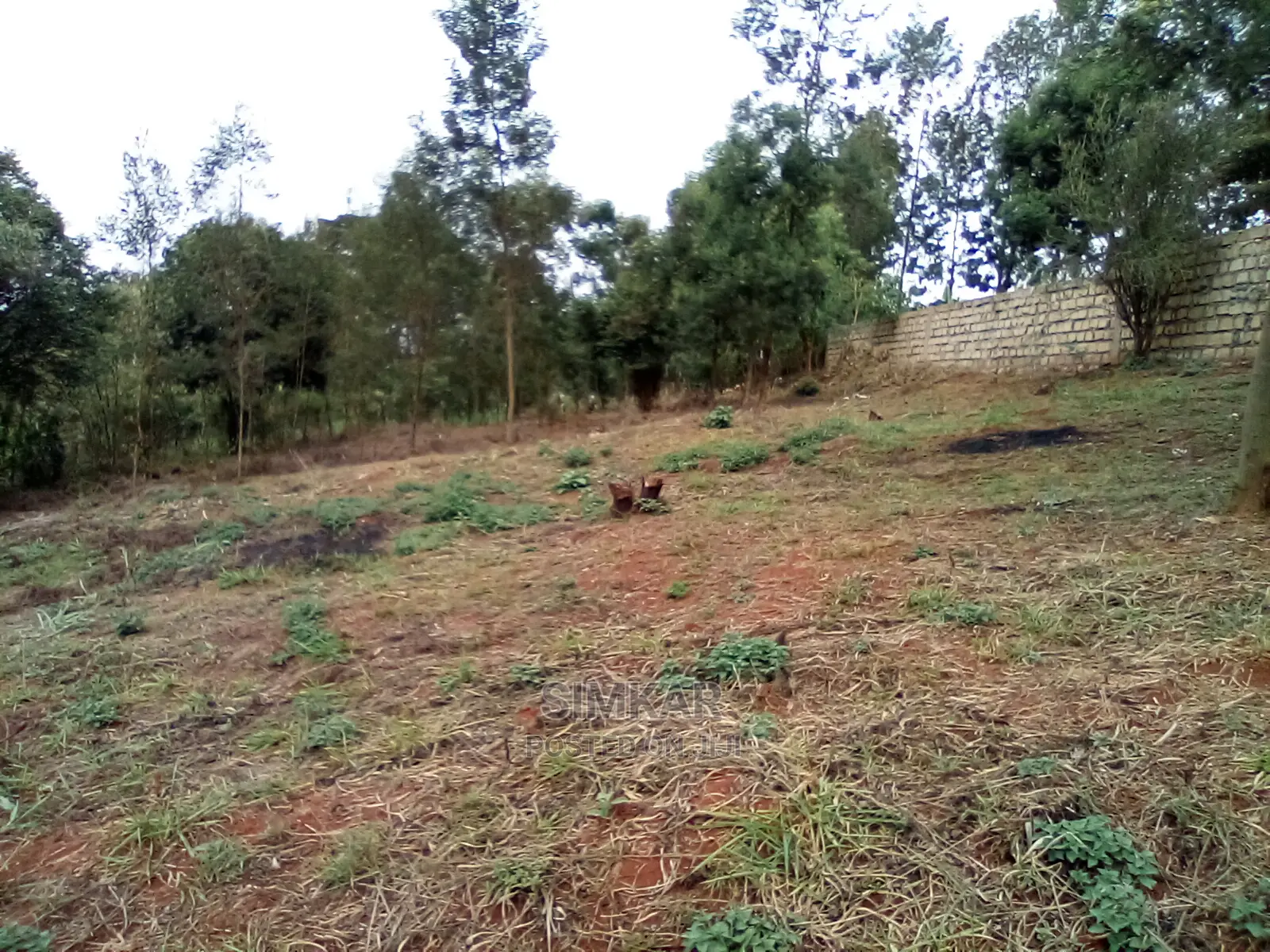 2-Acre Property in Wangige: Seize This Land Sale Opportunity Today in Wangige