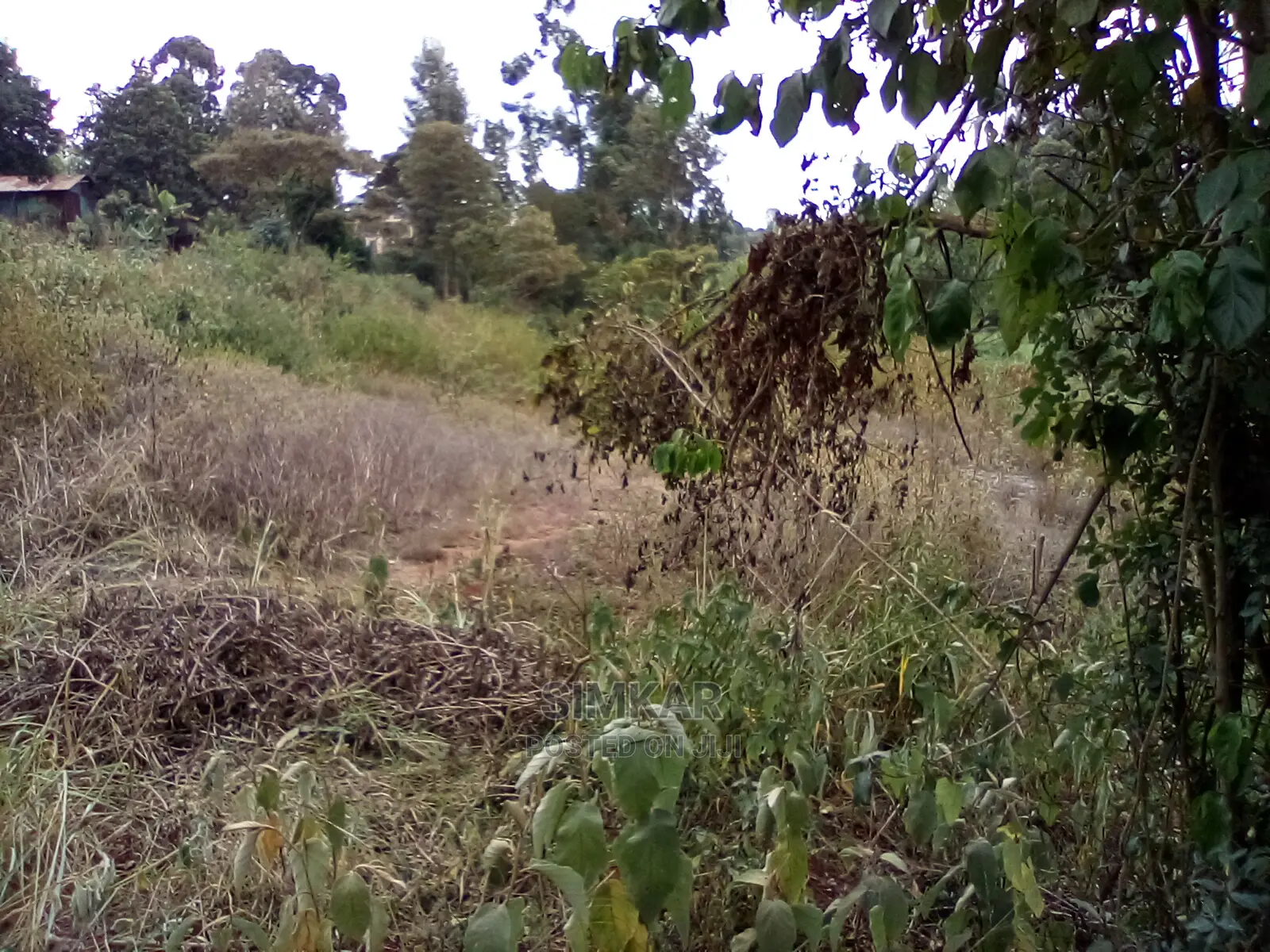 2-Acre Property in Wangige: Seize This Land Sale Opportunity Today in Wangige