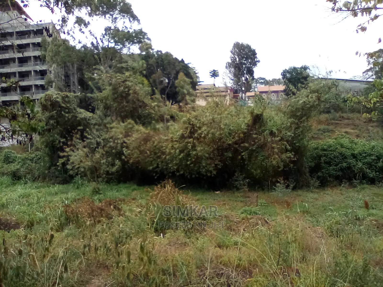 2-Acre Property in Wangige: Seize This Land Sale Opportunity Today in Wangige