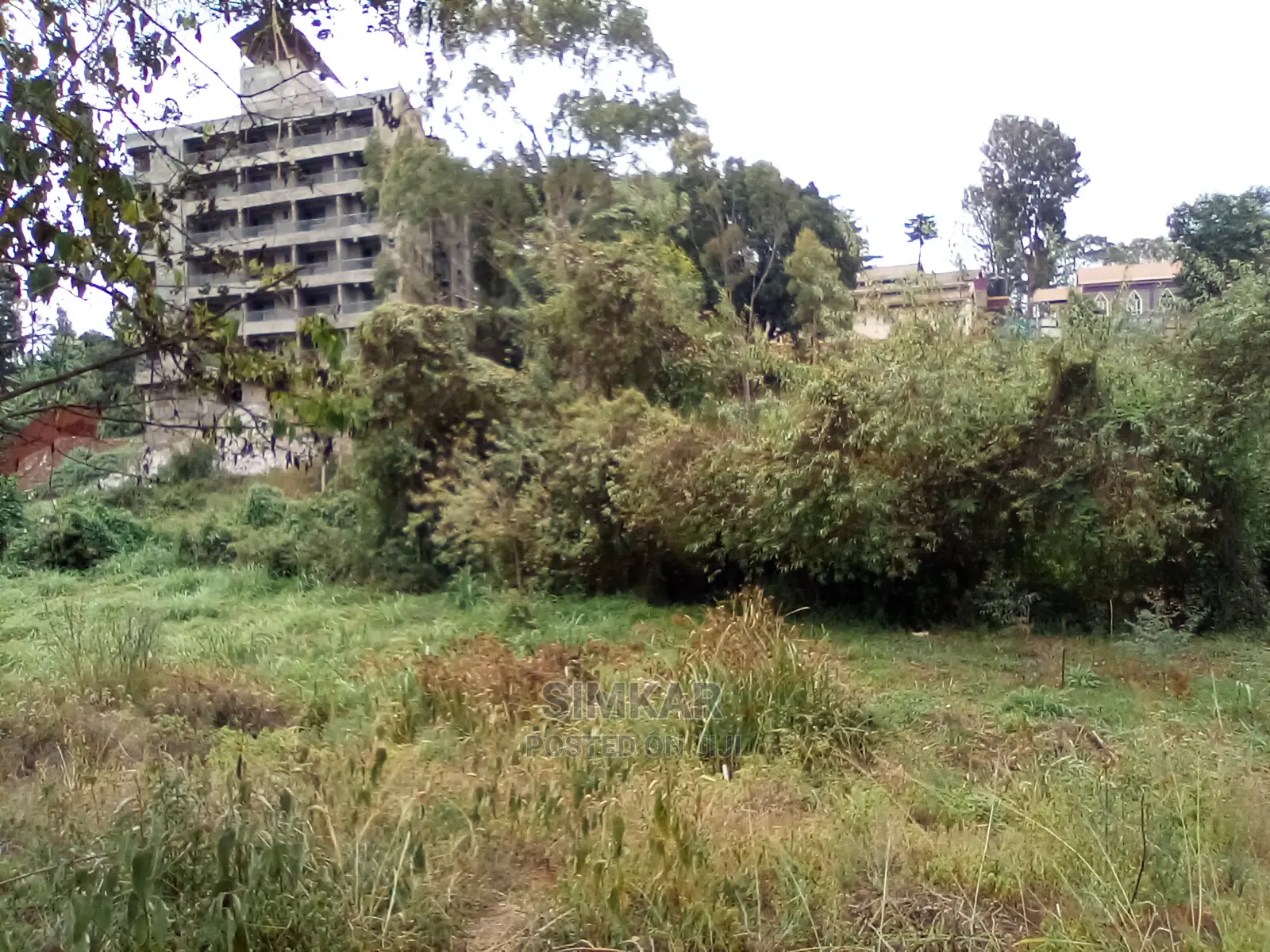 2-Acre Property in Wangige: Seize This Land Sale Opportunity Today in Wangige