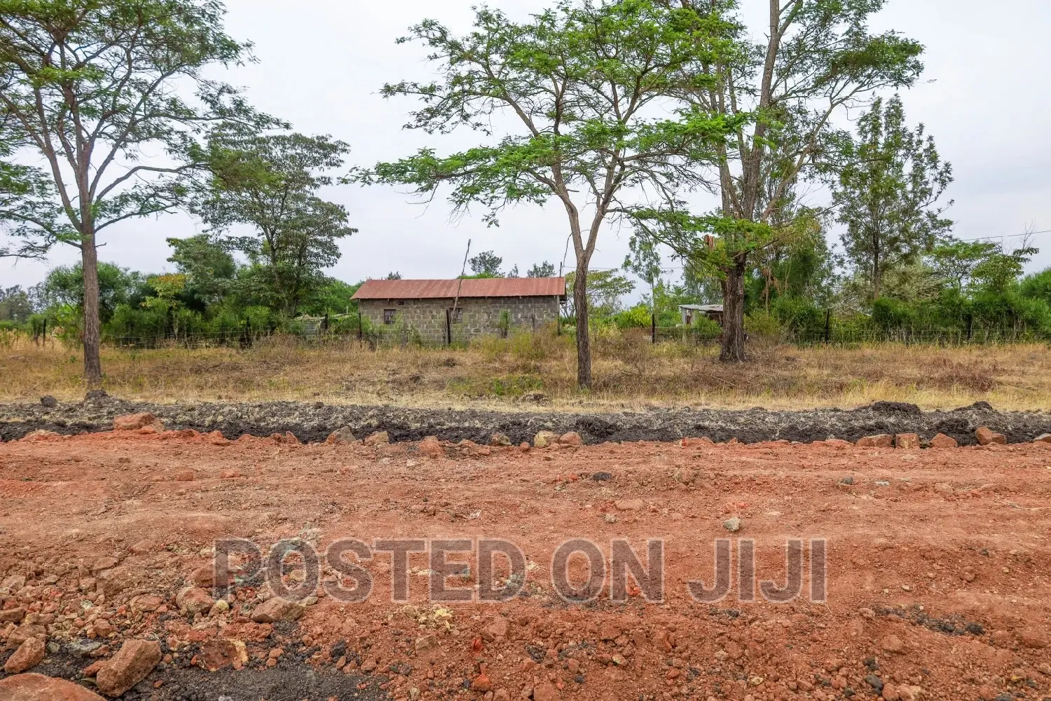 Juja Farm Prime Plots in Juja