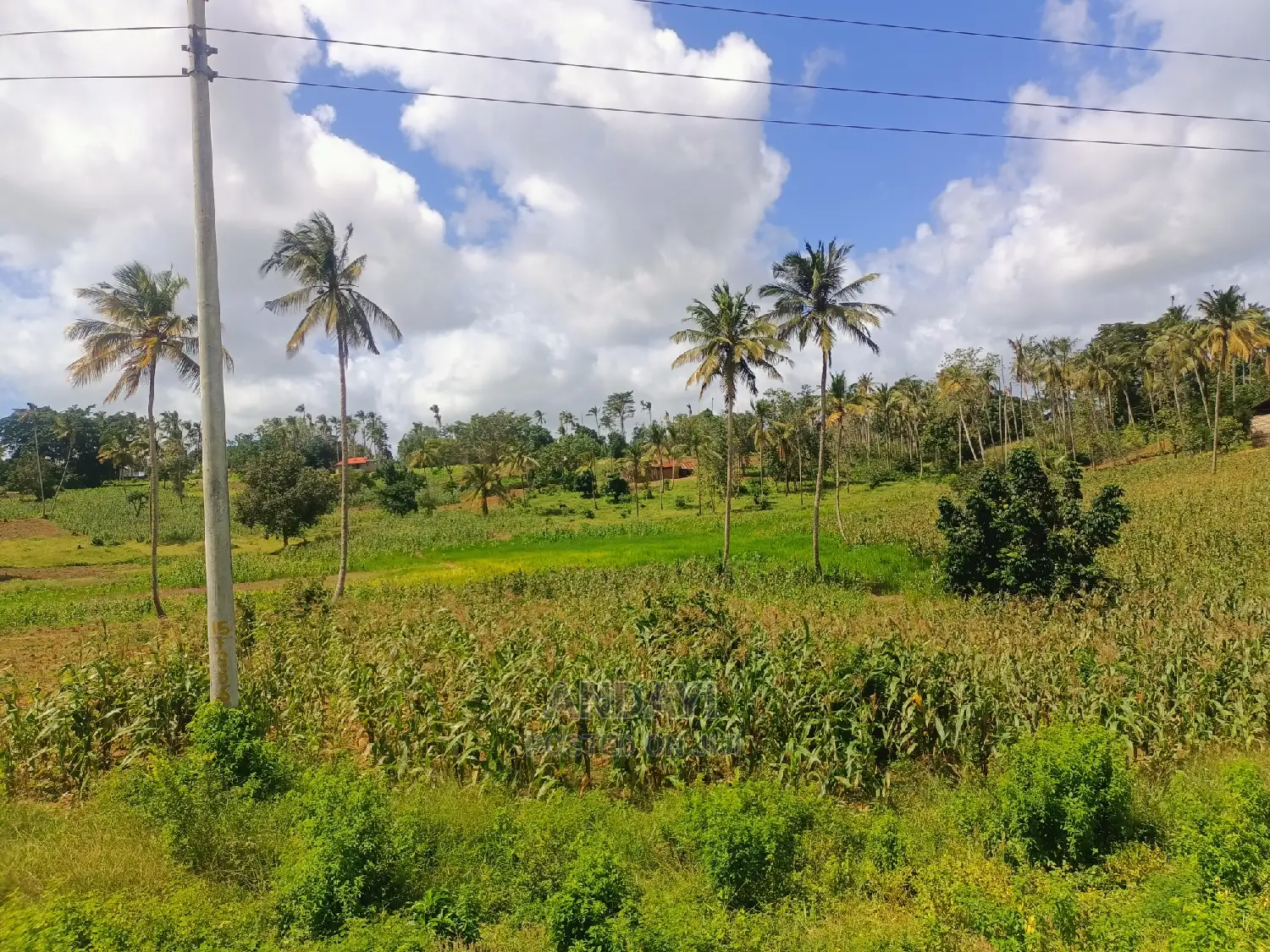 Rabai Land for Sale: Find Your Perfect Parcel Today in Rabai