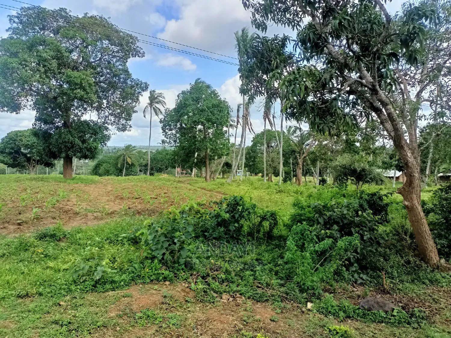 Rabai Land for Sale: Find Your Perfect Parcel Today in Rabai