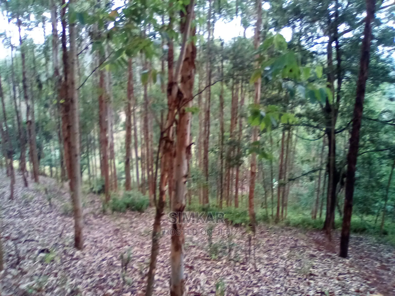 Upper Matasia Ngong 2.3-Acre Land - Prime Investment Opportunity in Matasia