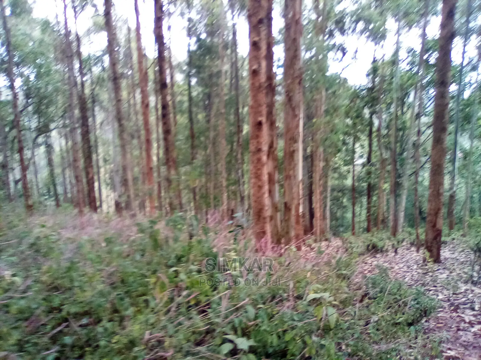 Upper Matasia Ngong 2.3-Acre Land - Prime Investment Opportunity in Matasia
