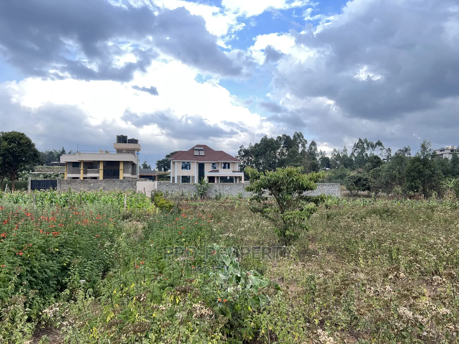 Gikambura Jambu Tv Road 50x100ft Prime Land - Seize the Opportunity Now in Kikuyu
