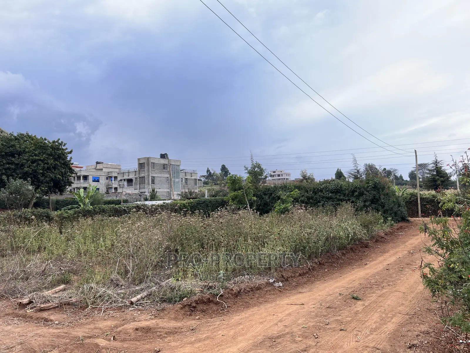 Gikambura Jambu Tv Road 50x100ft Prime Land - Seize the Opportunity Now in Kikuyu