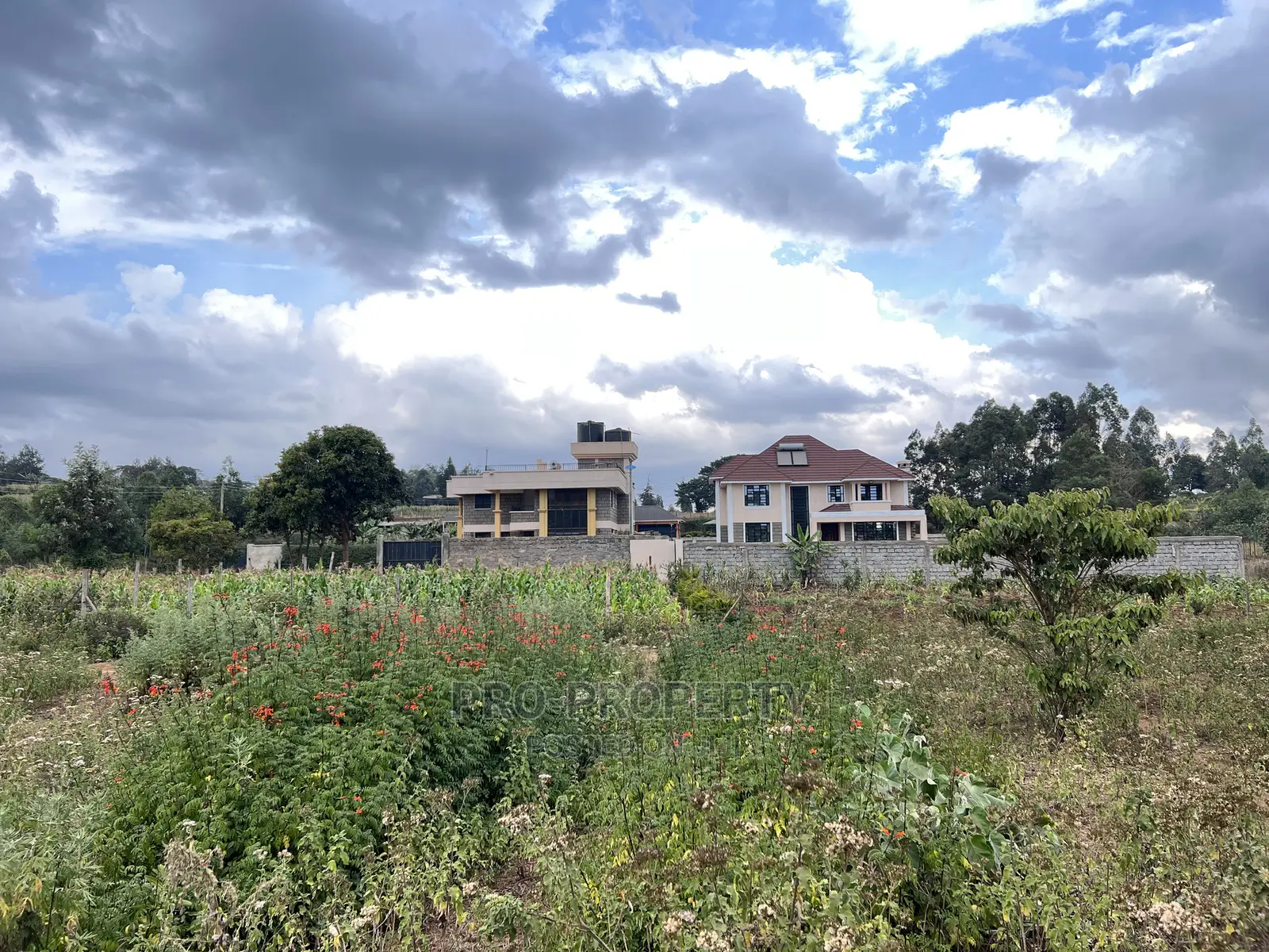 Gikambura Jambu Tv Road 50x100ft Prime Land - Seize the Opportunity Now in Kikuyu