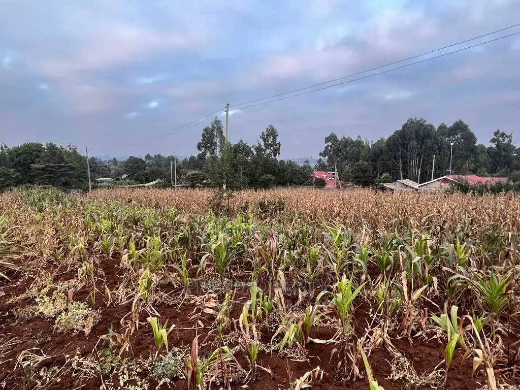 Exclusive Residential Plot for Sale in Kikuyu Kamangu, Migumoini in Karai