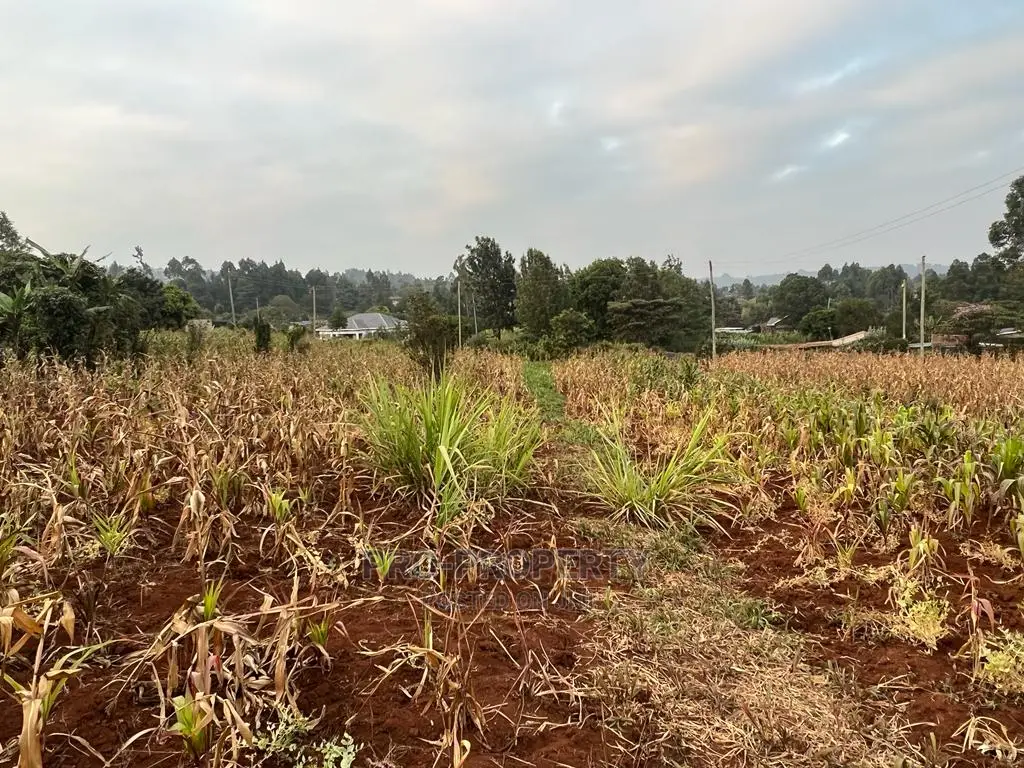 Exclusive Residential Plot for Sale in Kikuyu Kamangu, Migumoini in Karai