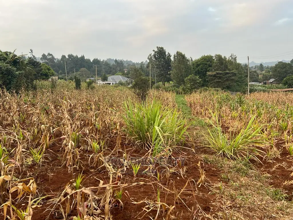 Exclusive Residential Plot for Sale in Kikuyu Kamangu, Migumoini in Karai