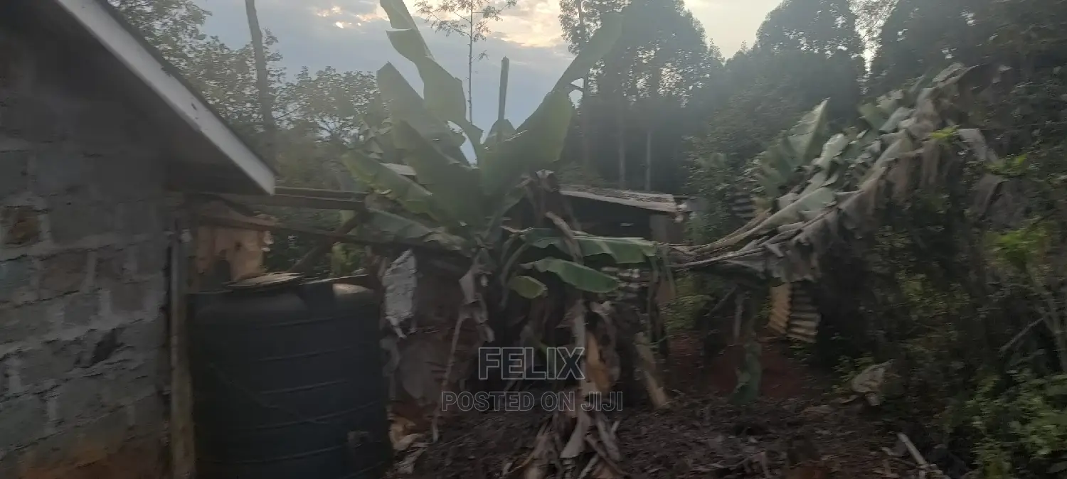 1/4 Plot Karatina/Kiawarigi 2bdrm House in Karatina Town