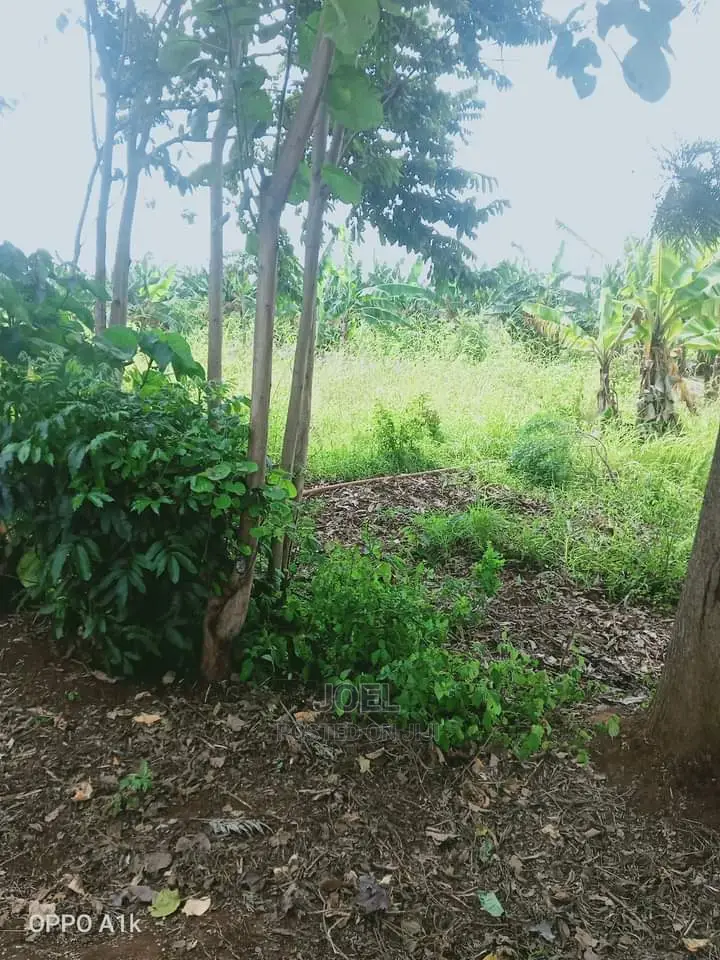 2 Acres of Land in Langa Langa - Ideal for Investment in Gilgil
