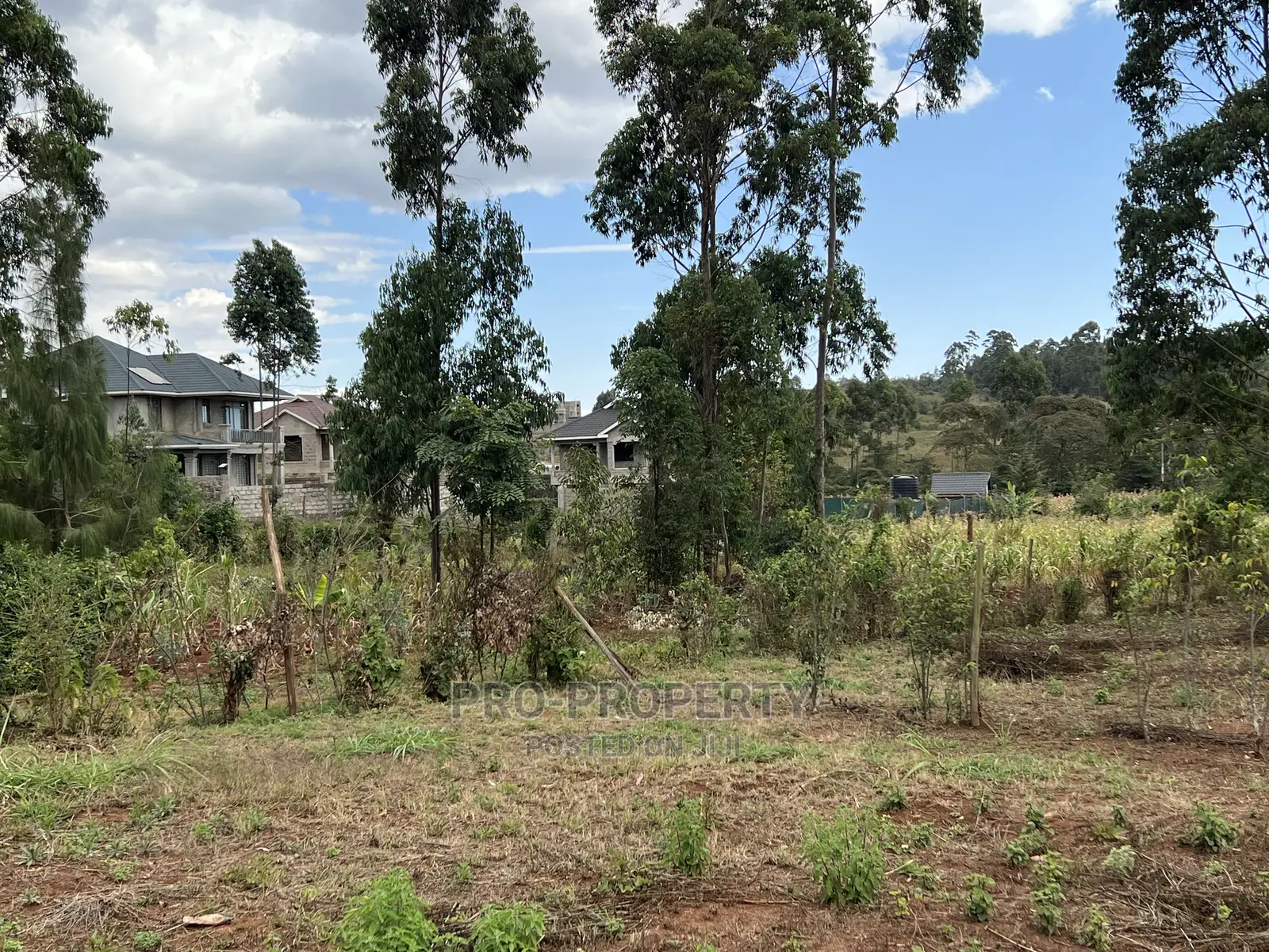 Gikambura: Prime Residential Land Available for Sale in Kikuyu