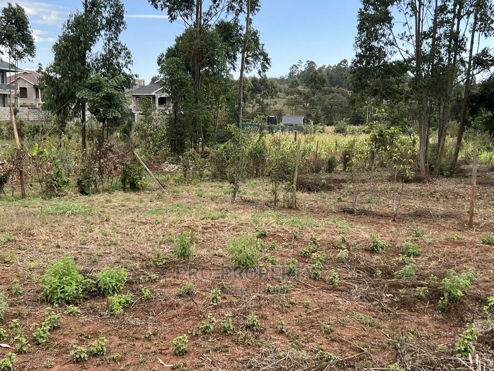 Gikambura: Prime Residential Land Available for Sale in Kikuyu