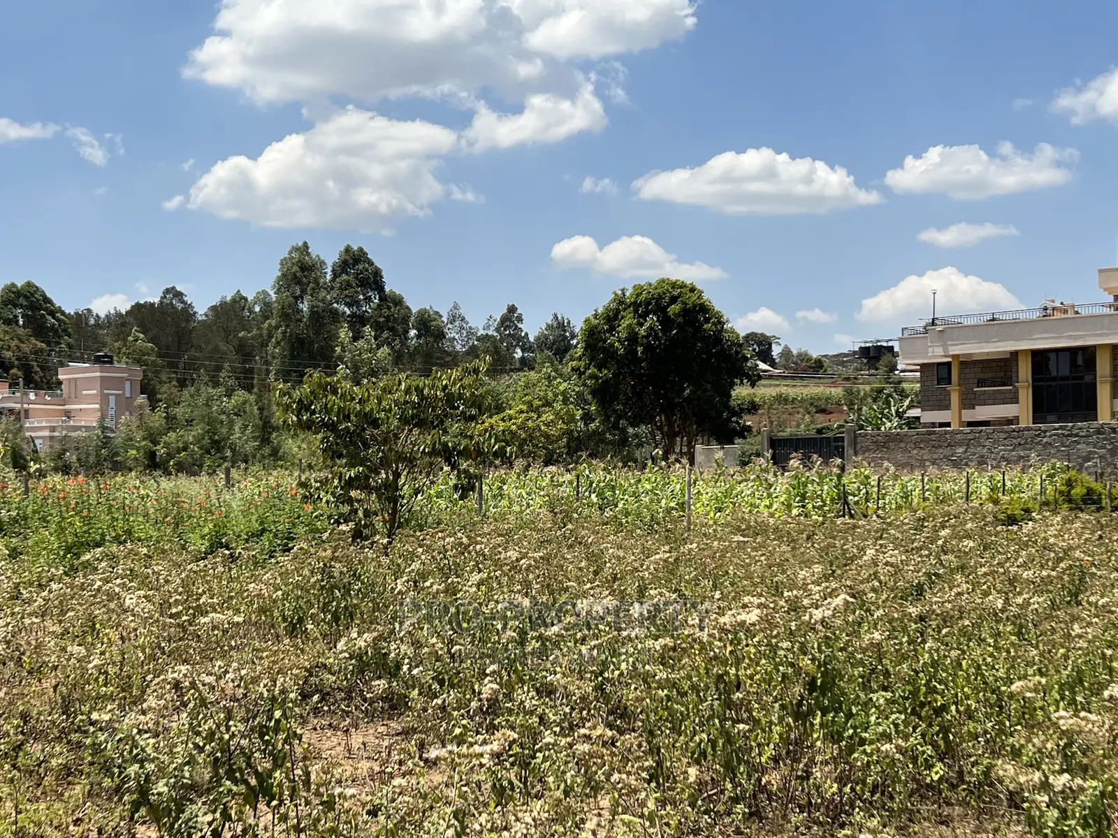 Secluded Gikambura Plot - Perfect for Your Dream Project! in Kikuyu