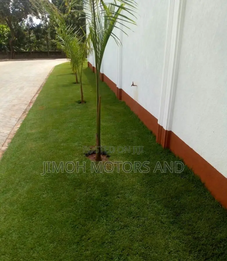 Furnished 6-Bedroom Mansion in Exclusive Parklands/Highridge - Up for Sale in Parklands/Highridge