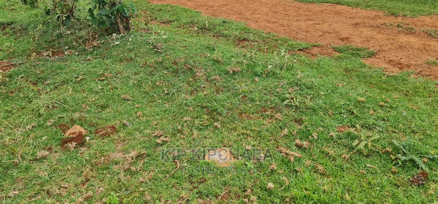 Eldoret's Chepkanga: Prime Residential Plot for Sale Today in Kimumu