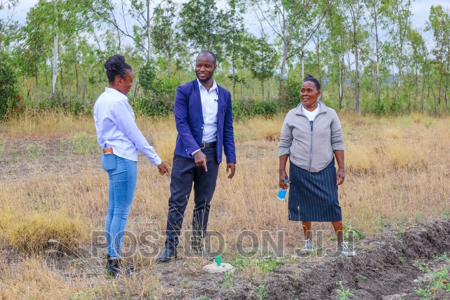 Kamulu Prime Plots in Kamulu