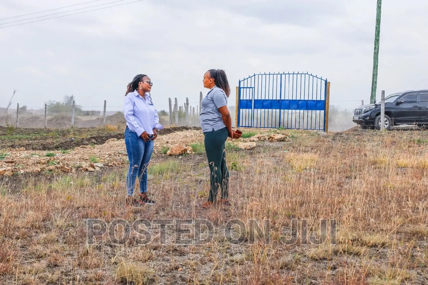 Kamulu Prime Plots in Kamulu