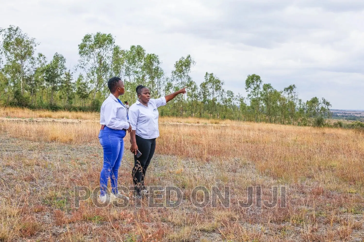 Residential Plots in Kamulu in Kamulu