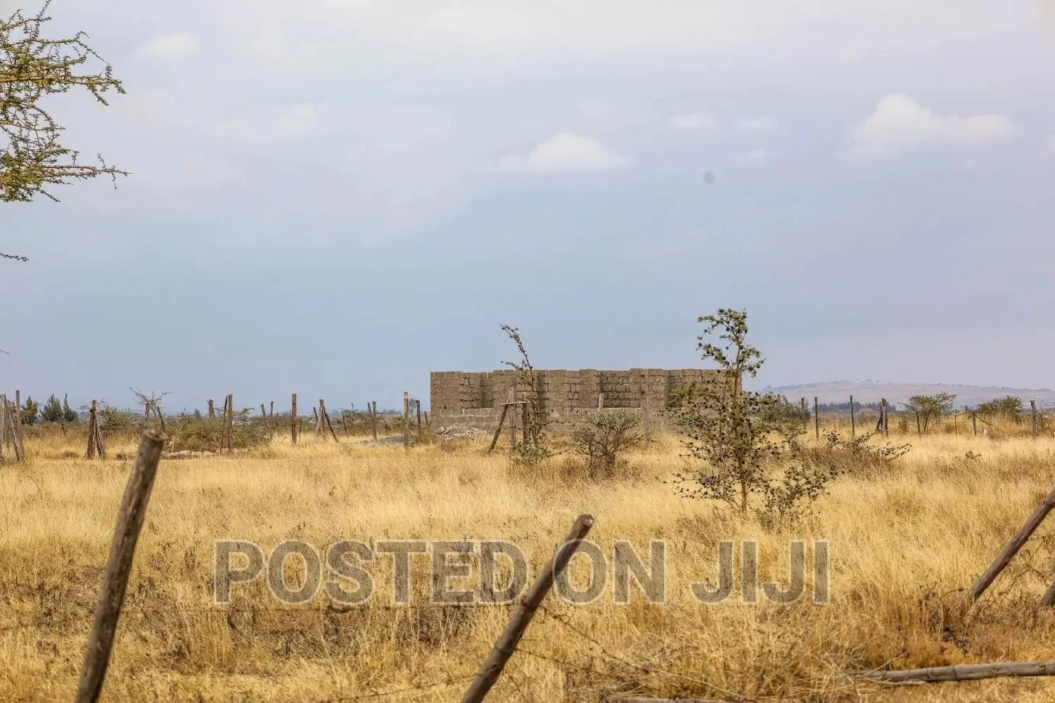 Cheap Plots in Malaa