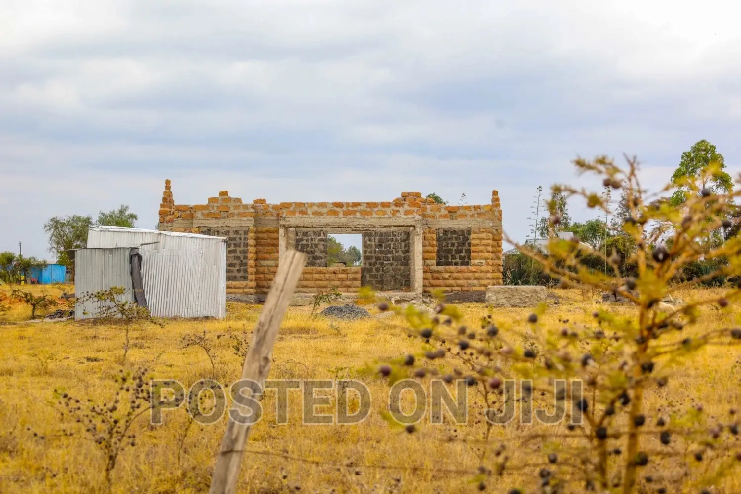 Cheap Plots in Malaa