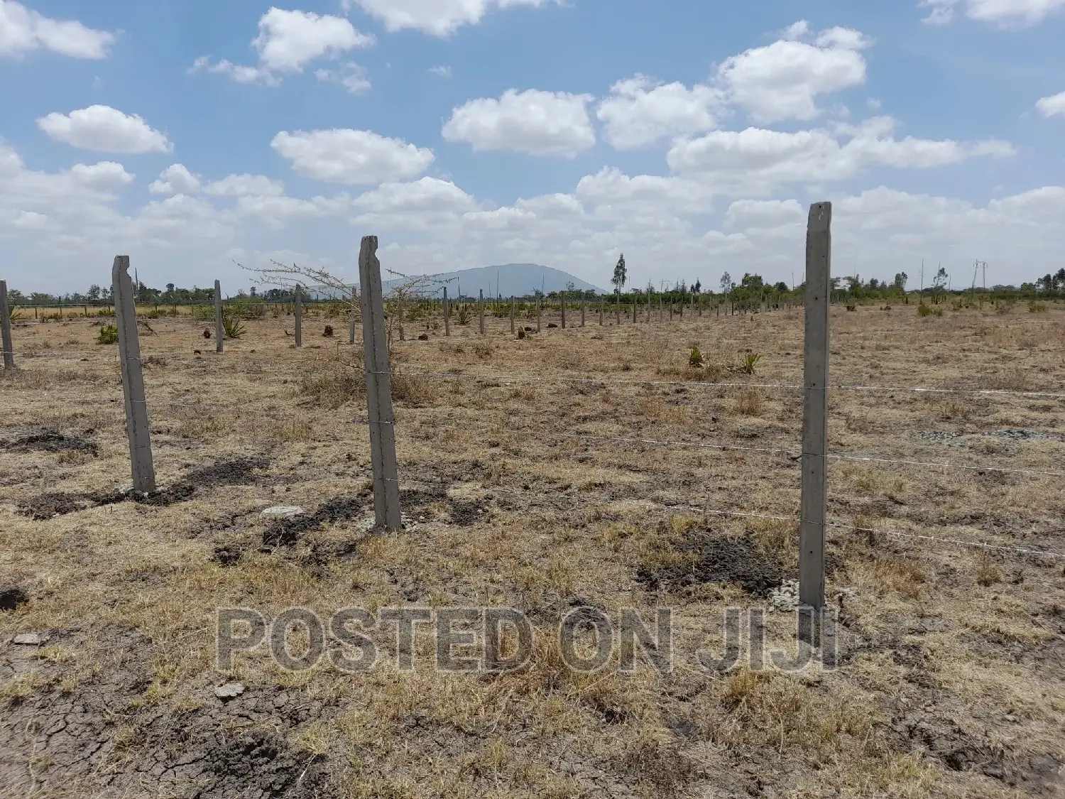 Cheap Plots In Kamulu in Kamulu